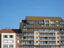 Cliquer pour agrandir